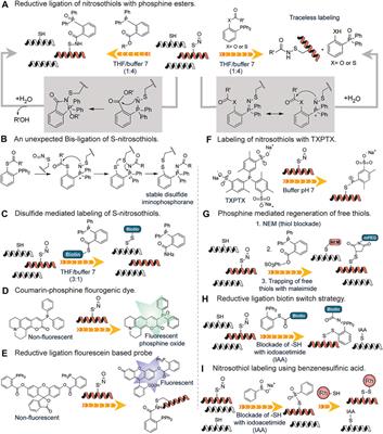 Covalent Chemical Tools for Profiling Post-Translational Modifications